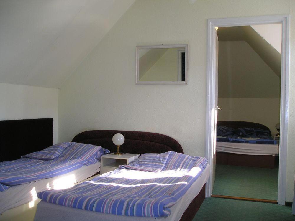 Domino Panzio Bed & Breakfast Alba Regalǎ Exterior foto